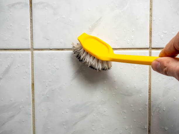 Best Black Mold Removal  in West Simsbury, CT