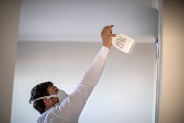 Best Mold Cleaning Services  in West Simsbury, CT