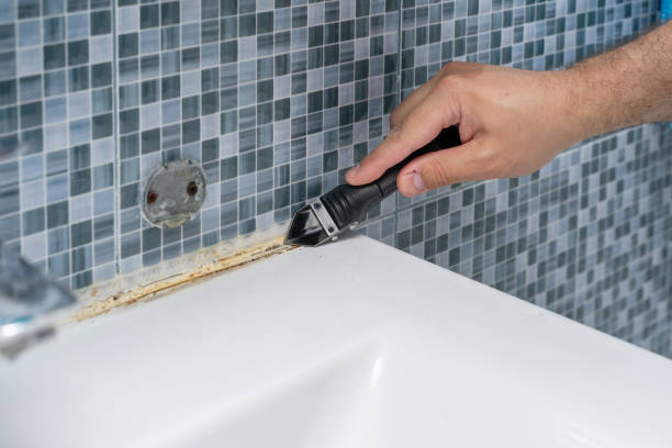 Best Affordable Mold Removal  in West Simsbury, CT