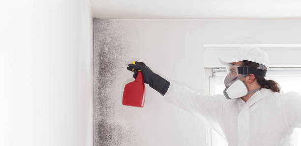 Best Office Mold Removal Services  in West Simsbury, CT