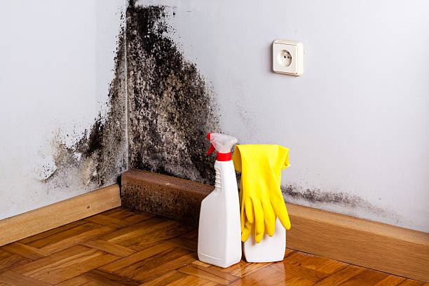 Best Residential Mold Removal  in West Simsbury, CT